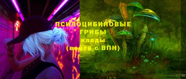 МДМА Няндома