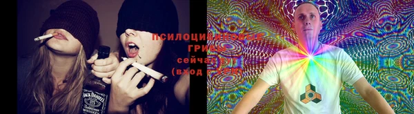 соль курить ск Касимов
