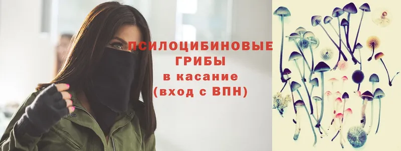 blacksprut   купить наркотики цена  Подольск  Псилоцибиновые грибы мухоморы 
