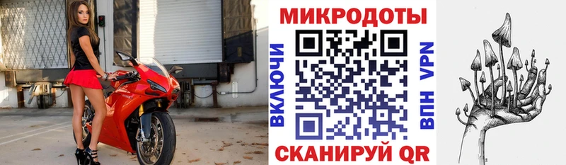 где купить наркоту  Подольск  Псилоцибиновые грибы прущие грибы 