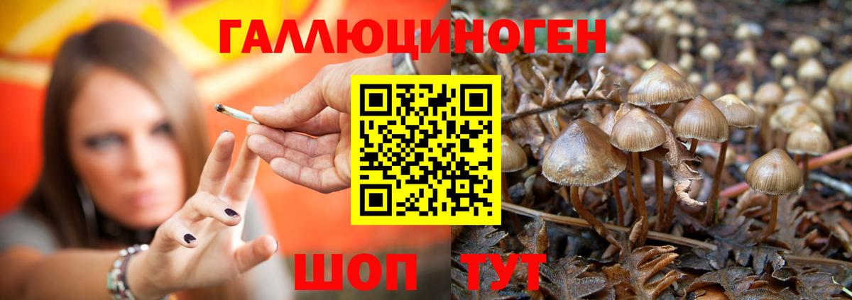 Галлюциногенные грибы прущие грибы Подольск